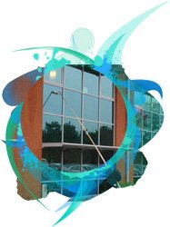 commercial window cleaning services commercial window cleaning
