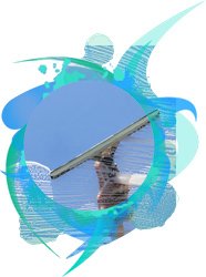 domestic window cleaning domestic window cleaning services