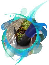 gutters cleaning gutter cleaning services