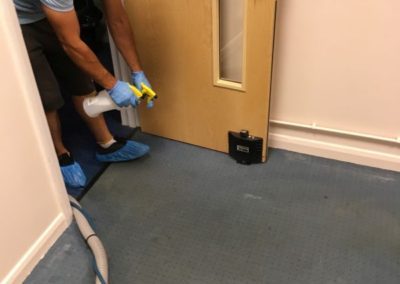carpet cleaners008
