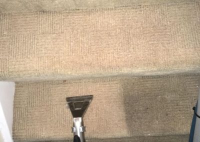 carpet cleaners017